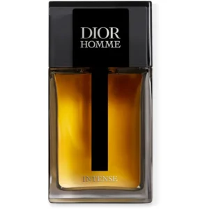 DIOR Dior Homme Intense Eau de Parfum voor Mannen 100 ml